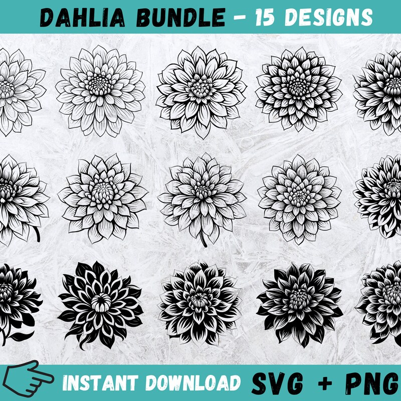 Dahlia Clipart - Etsy