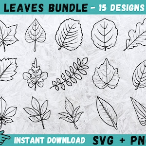 Leaf SVG, Leaves SVG, Leaf Clipart, Commercial Use Svg, Fall Leaves Clipart, Fall Clipart, Fall Leaf Svg, Autumn Svg, Autumn Leaf Svg, Png