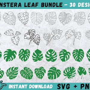 Monstera Leaf SVG, Tropical Leaf Cricut, Tropical Leaf Silhouette, Monstera Clipart, Tropical Leaves Vector,Files For Cricut,Tropical Leaves