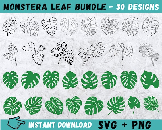 Monstera Leaf SVG Bundle: 30 Tropical Designs (digital Download) - Etsy  Israel