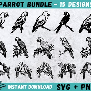 Papegaai SVG, papegaai clipart, papegaai gesneden bestanden, vogel silhouet, dierlijke Svg, papegaai Cricut, papegaai vector, instant download, png