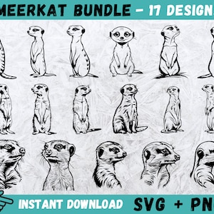 Suricata SVG, Cabeza de suricata Cricut, Vector de suricata, Clipart de suricata, Archivos de corte de suricata, Silueta de suricata, Archivos para Cricut, Descarga instantánea