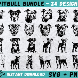 Pitbull SVG, sylwetka Pitbulla, amerykański Pitbull SVG, wektor twarzy psa, Pitbull Clipart, pies Cricut, sylwetka szczeniaka, pliki do cięcia zwierząt domowych, Png