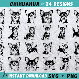 Chihuahua SVG, Chihuahua Clipart, Chihuahua Schnitt Dateien, Hund Silhouette, süße Welpen SVG, Chihuahua Hund SVG, Haustier Vektor, sofortiger Download, Png