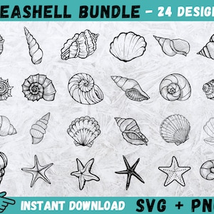 Schelp SVG, schelp Cricut, schelp gesneden bestanden, schelp silhouet, digitale download, schelpen Svg, schelp Cricut, strand Svg, png
