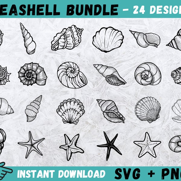 Seashell SVG, Seashell Cricut, Seashell  Cut Files, Seashell Silhouette, Digital download, Sea shells Svg, Sea shell Cricut, Beach Svg, Png