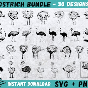 Ostrich SVG Bundle, Ostrich Cricut, Cartoon Ostrich Svg, Zoo Animal Clipart, Cute Duck Svg, Ostrich Silhouette, Emu Vector, Instant Download
