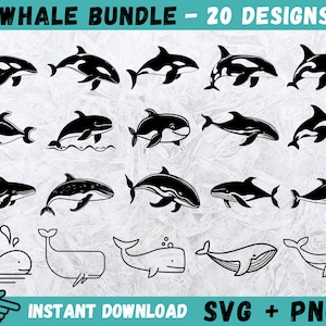 Whale SVG, Sea Animals Cricut, Orca Whale Svg, Cartoon Whale Svg, Orca Svg, Orca Silhouette, Whale Cut File, Killer Whale Svg, Vector, Png
