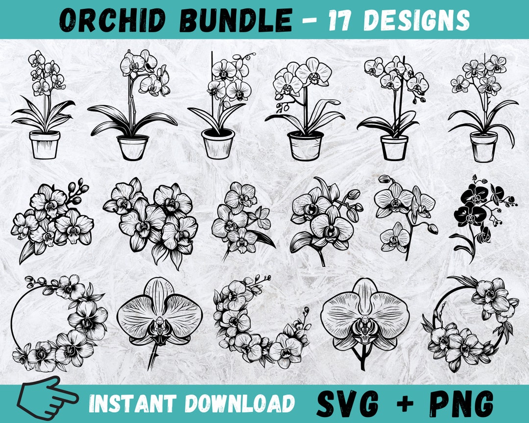Orchid Flower SVG Bundle, Orchids Svg, Orchid Cricut, Flower Clipart ...