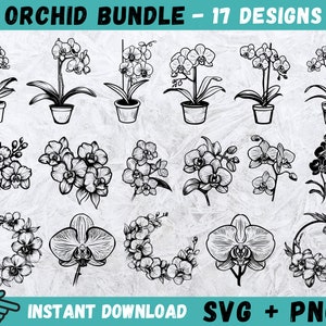 Pacchetto SVG di fiori di orchidea, SVG di orchidee, Cricut di orchidee, Clipart di fiori, Monogramma di orchidea, Silhouette di orchidea, File di taglio di orchidea, Download immediato
