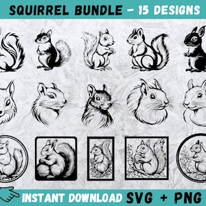 Bundle SVG écureuil, Silhouette écureuil, vecteur d'écureuil, Clipart, Cricut, clipart, imprimable, écureuil coupe fichiers, Cricut, fichier numérique