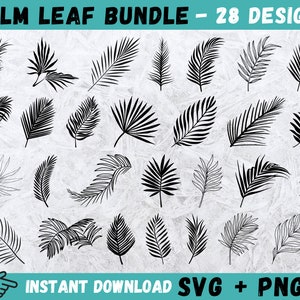Palm Leaf SVG, Palm  Leaves Svg, Hand Drawn Leaves Svg, Palm Leaf Cricut, Palm Leaf Bundle, Tropical Leaf Cut File, Tropical Leaves Clipart