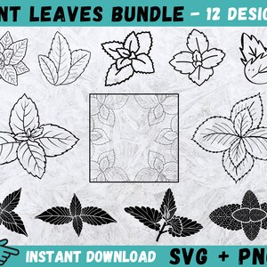 May include: A set of 12 black and white mint leaf illustrations. The illustrations include single leaves, sprigs, and a patterned square.  The text "MINT LEAVES BUNDLE - 12 DESIGNS" is at the top of the image. The text "INSTANT DOWNLOAD SVG + PNG" is at the bottom of the image.