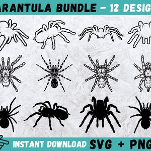 Tarantula SVG, Spider Svg, Spider Clipart, Tarantula Clipart, Spider Design, Spider Cut Files For Cricut, Tarantula Silhouette,Spider Vector