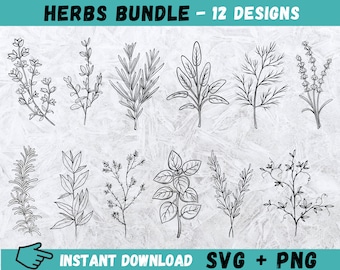 Paquete SVG de hierbas: Diseños de plantas dibujados a mano (descarga digital)