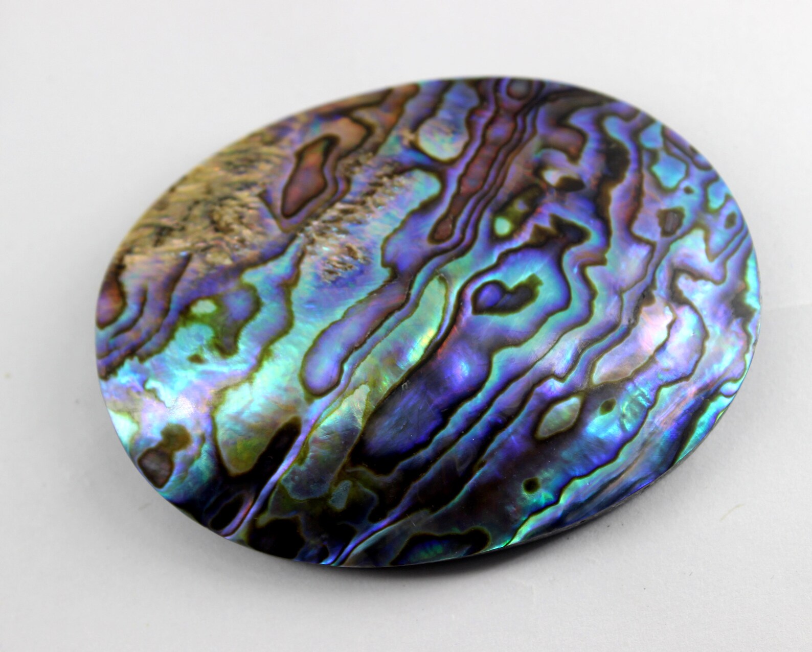 Outstanding High Quality Abalone Shell Rainbow Color Abalone Etsy