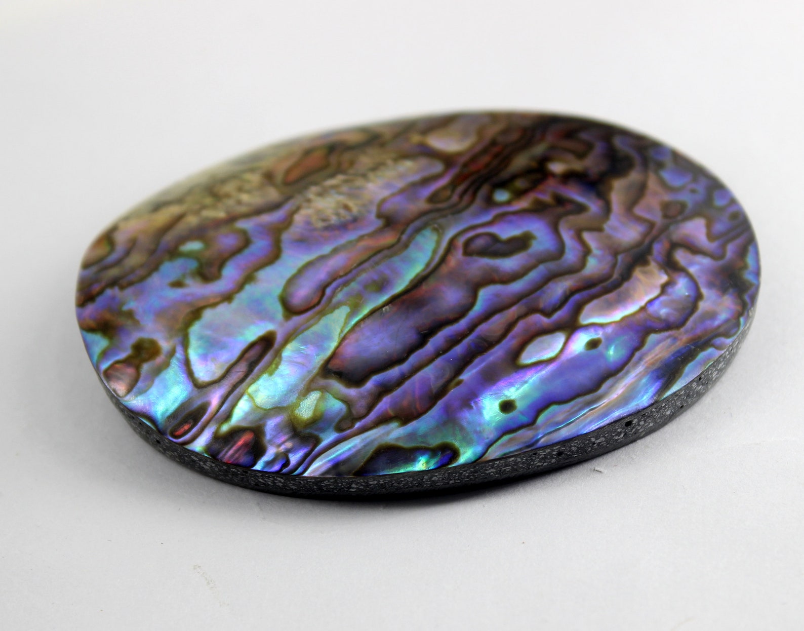 Outstanding High Quality Abalone Shell Rainbow Color Abalone Etsy