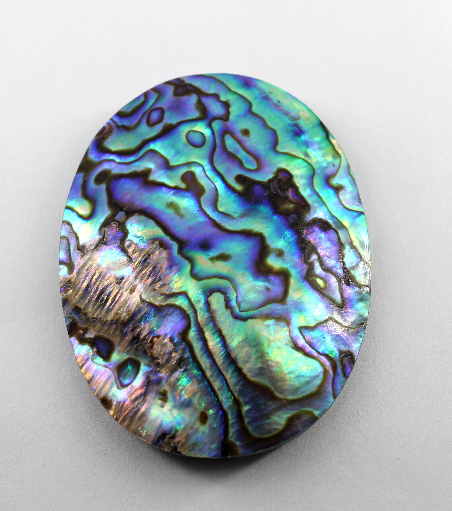 AAA High Quality Abalone Shell Rainbow Color Abalone Shell Etsy
