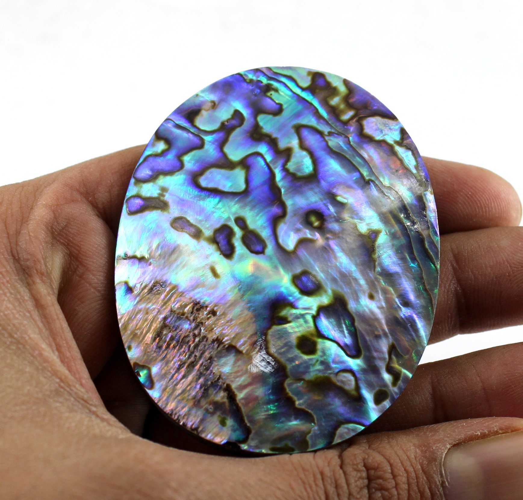 Excellent High Quality Abalone Shell Rainbow Color Abalone Etsy