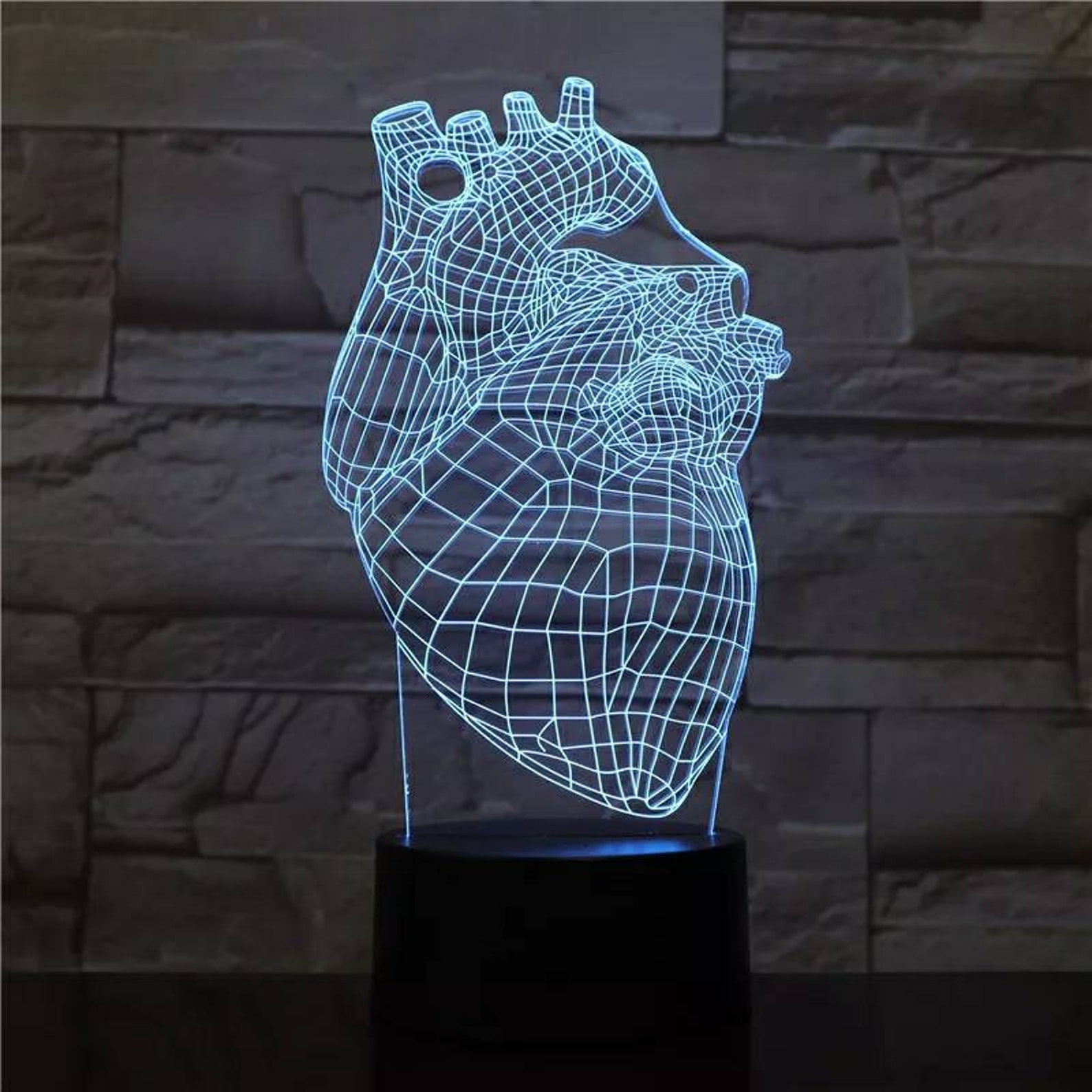 Heart Anatomy Lamp Cardiac Science Desk Lamp Etsy