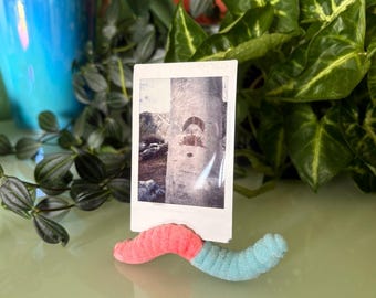 Porta Polaroids de gusano de goma agrio