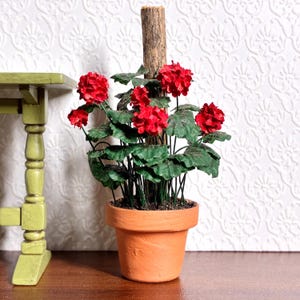 May include: A miniature terracotta pot holds a vibrant red geranium plant with green leaves. A wooden stake supports the plant, which is placed on a wooden surface. The background features a white textured wall, and a small green table is partially visible.
