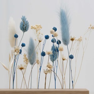 Trockenblumen blau - Zusammensetzung aus Trockenblumen in blau und creme