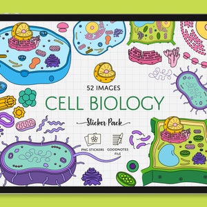 Cell Structure Digital Sticker Pack, Pre-cropped Cell Biology and Organelles Stickers, Cell Anatomy, PNG, GoodNotes, Studying, Science Notes
