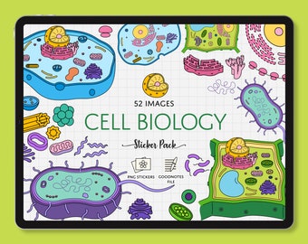 May include: A digital illustration of a cell biology sticker pack with 52 images. The pack includes various cell structures, such as the nucleus, mitochondria, and ribosomes. The images are drawn in a colorful and cartoonish style. The text "52 IMAGES CELL BIOLOGY Sticker Pack" is written in a green and white font. The text "PNG STICKERS GOODNOTES FILE" is written in a smaller font below the title.