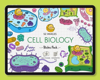 Cell Structure Digital Sticker Pack, Pre-cropped Cell Biology and Organelles Stickers, Cell Anatomy, PNG, GoodNotes, Studying, Science Notes