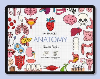 May include: A digital tablet screen displaying a set of 94 colorful anatomy illustrations. The illustrations include organs, bones, and other body parts. The text "94 IMAGES ANATOMY Sticker Pack" is displayed on the screen. The text "PNG STICKERS GOODNOTES FILE" is also displayed on the screen.