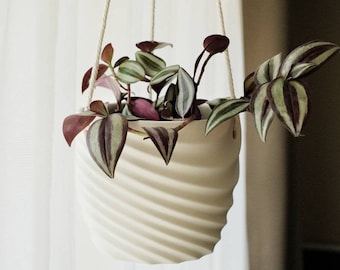 Eco Friendly White Indoor Hanging Planter | Succulent Hanging Pot | wall planter, Plant hanger, Flower Pot | Father's Day