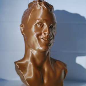May include: A bronze-colored bust of a person with short hair and a smiling expression. The sculpture is a detailed representation of a human face and upper torso, with visible facial features and neck.