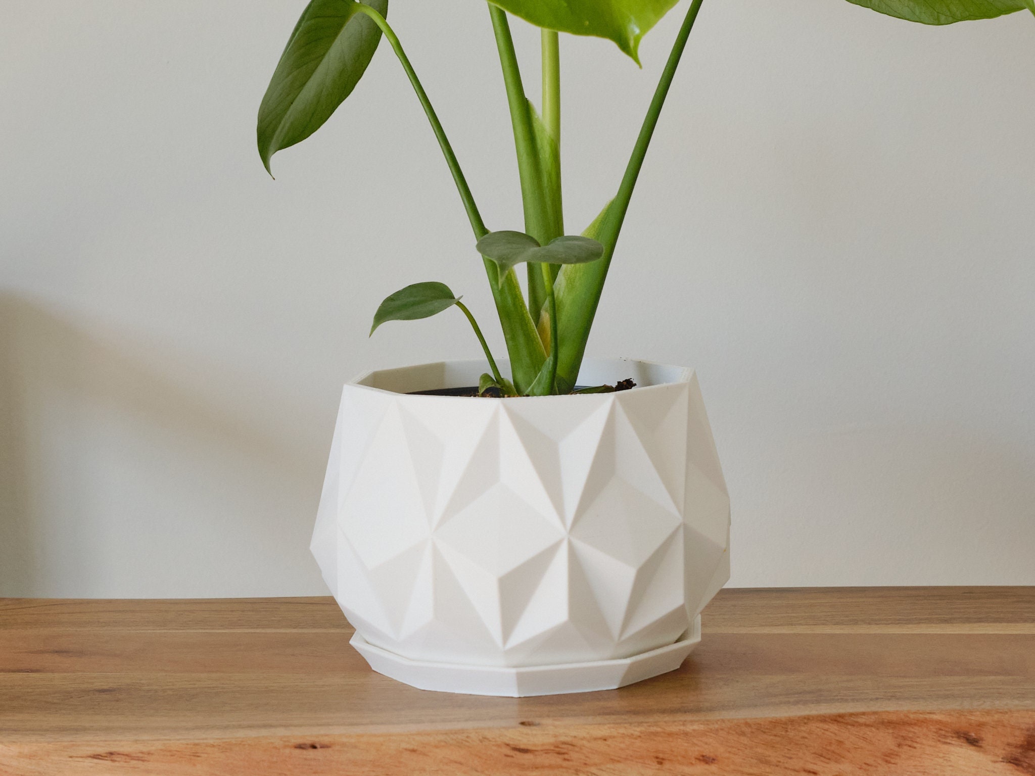 5 Inch Triangular patterned Indoor planter | Mesh Drain Hole  | Eco Friendly pot for flowers and small plants | Father's Day