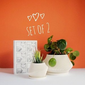 May include: Set of two white ceramic planters with a geometric design. The larger planter has a green plant inside and the smaller planter has a succulent inside. The planters are sitting on a white surface in front of a book and an orange wall. The text "SET OF 2" is written in white on the orange wall.