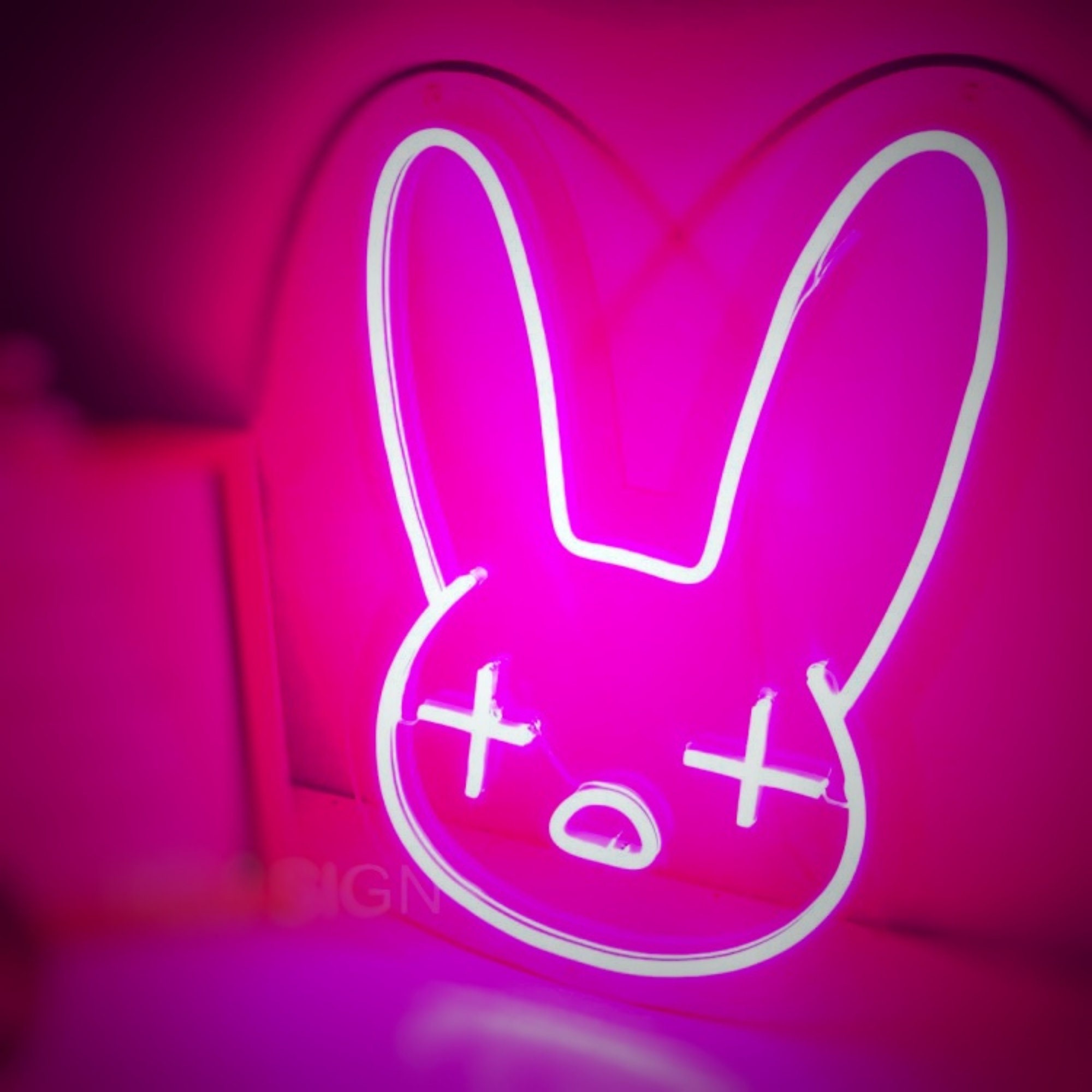 Néon Led Lapin Xl