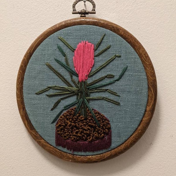 pink quill // tillandsia cyanea embroidery // hand stitched plant // house plant embroidery // gift ideas