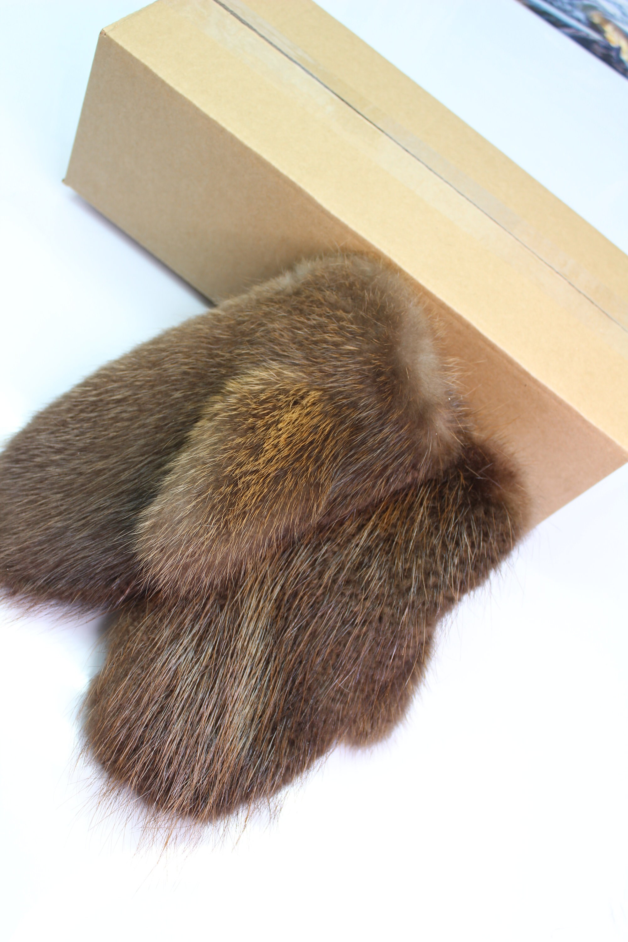 Mittens Made of Natural Beaver Fur for Men Etsy Canada
