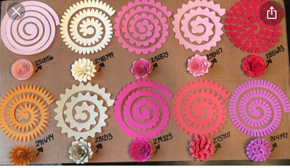 Free Rolled Paper Flower SVG With Fun Craft Tutorial.