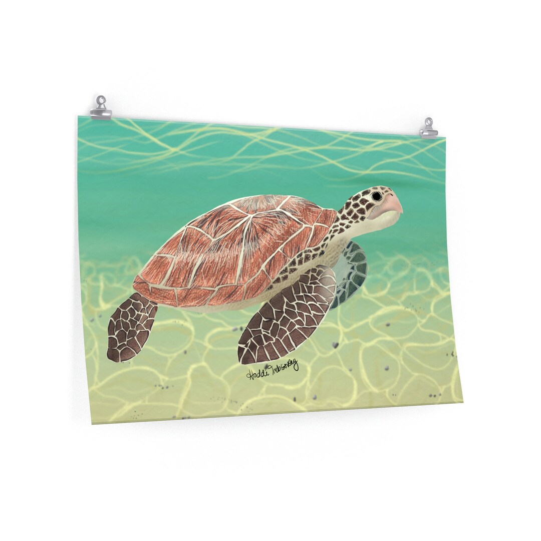 Sea Turtle Art Poster Print
