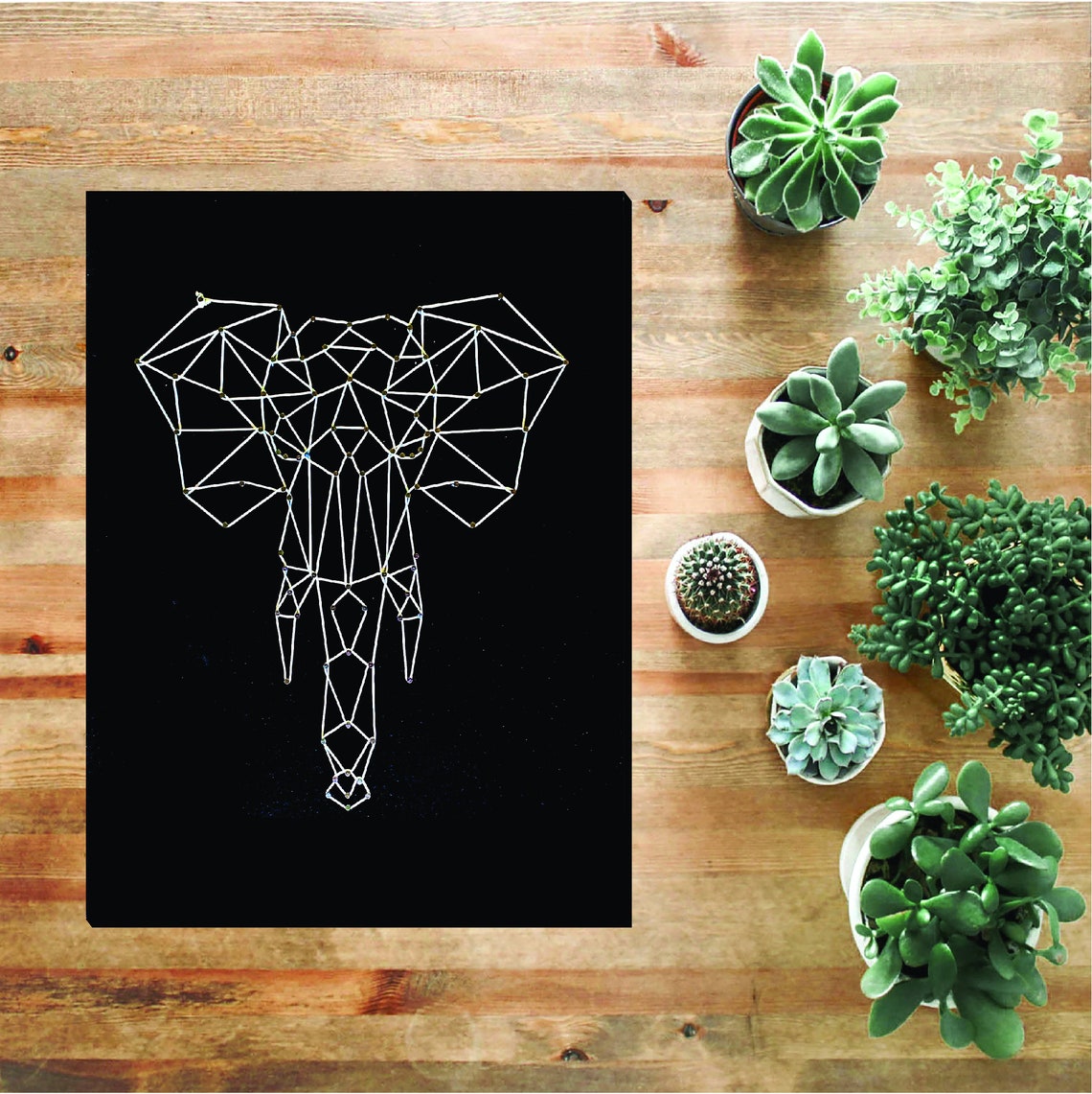 DIY String Art Kit Craft Kit for Adults Easytofollow Etsy