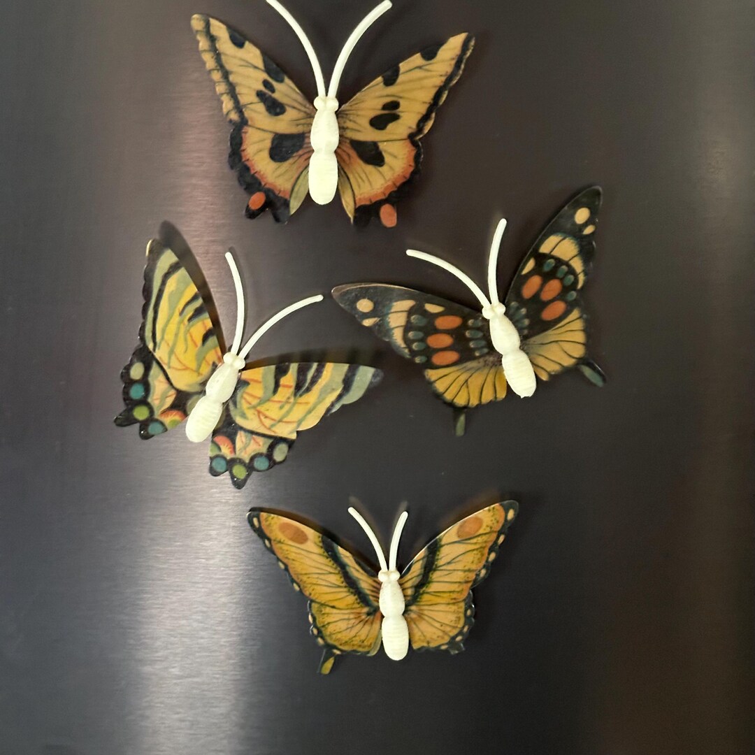 Sample Buttefly Ref Magnet Design Butterfly Magnets Set of 4 Vintage Refrigerator Magnets - Earth ...
