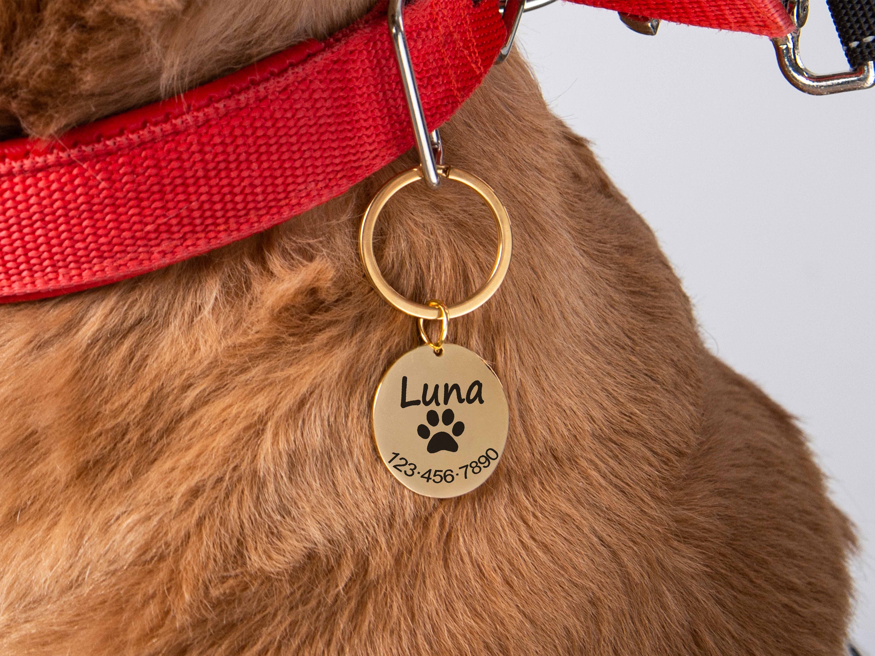 Dog ID Tag Microchip Dog tag for Dog gifts Pet Puppy Tag Dog Etsy