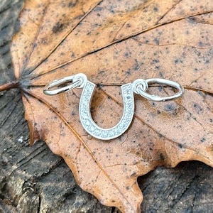 Lucky Charm Horseshoe Pendant Necklace - Sterling Silver Horseshoe Charm - Unique Lucky Horseshoe Jewelry