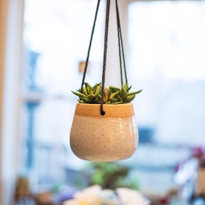 May include: A hanging ceramic planter with a speckled white body and a tan rim, suspended by black rope. The planter holds a green succulent plant. The background is blurred, suggesting a window view.