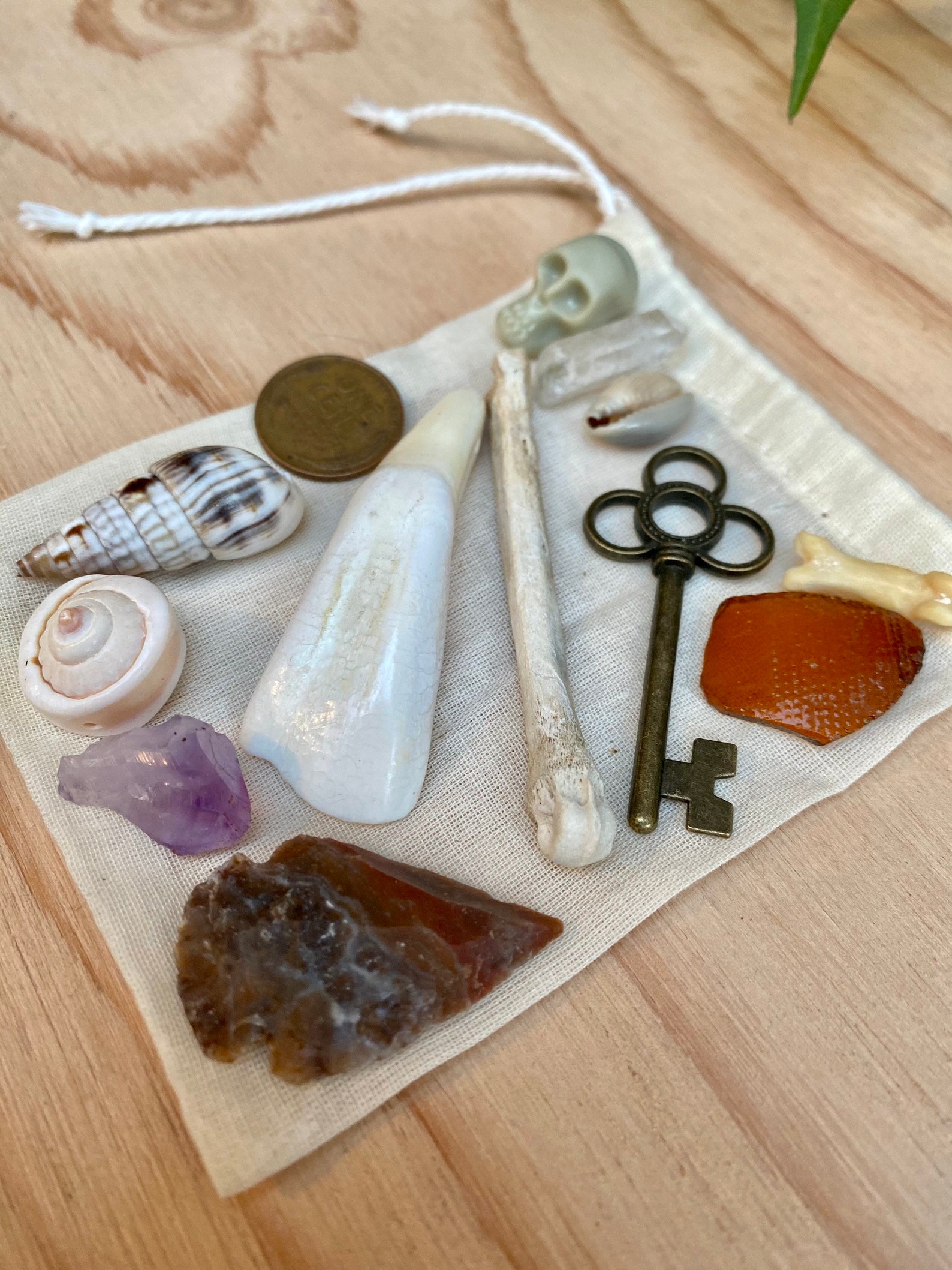 Witchy divination tool Bone throwing set Osteomancy Etsy