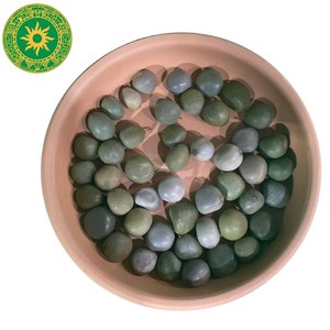 Ibbos and Seeds