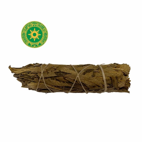 Sage - Holy Herb 4"