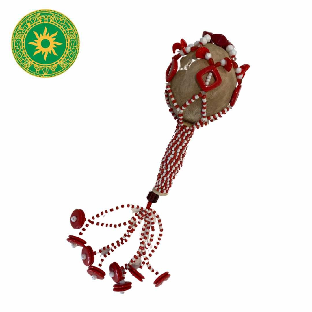 Hawaiian maracas 2024