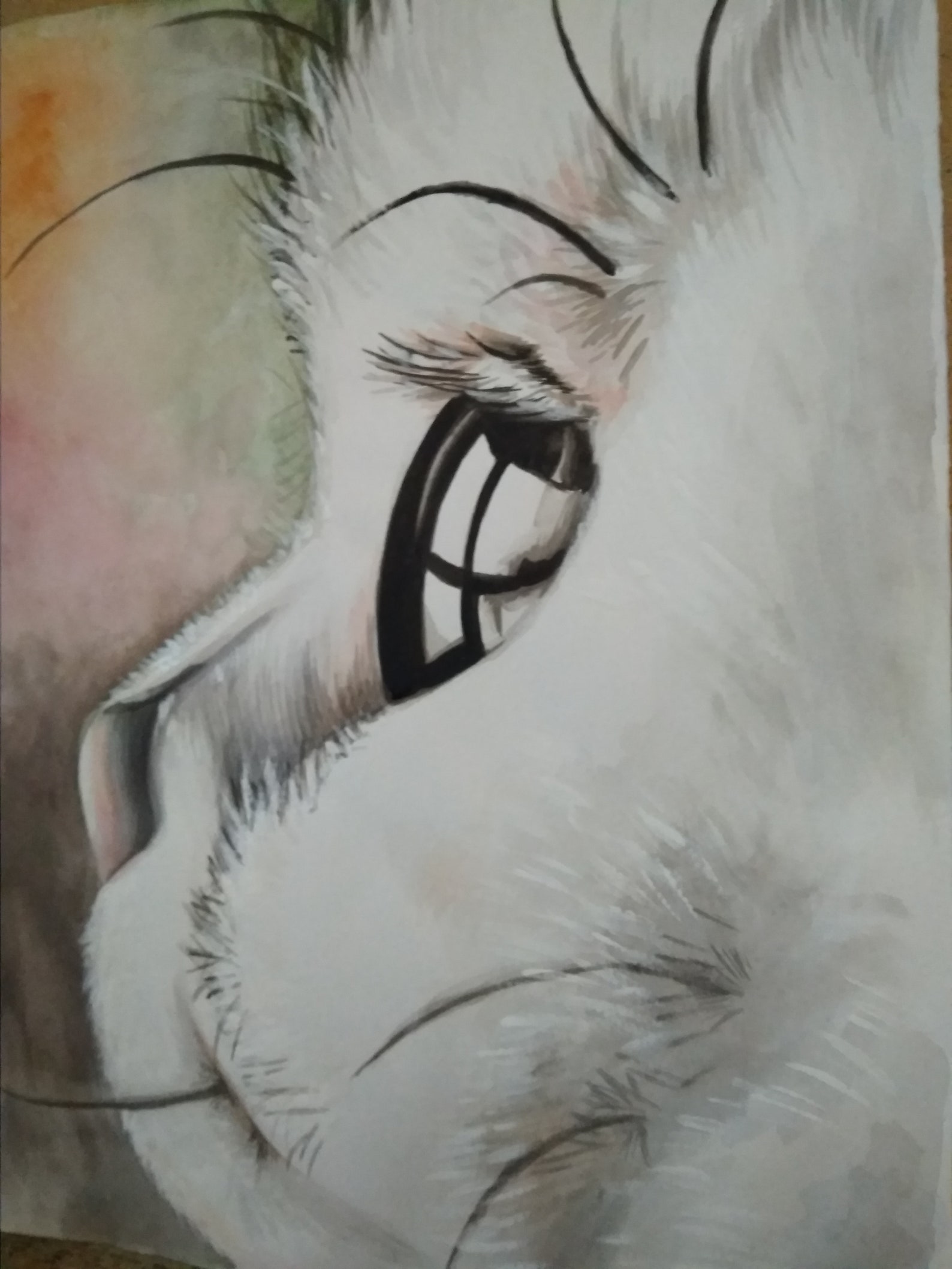 Kätzchen. Aquarell und Acrilyc. Weiße flauschige Kätzchen. | Etsy